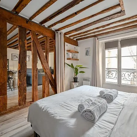 Grand 2 Pieces Typique Du Marais Apartamento